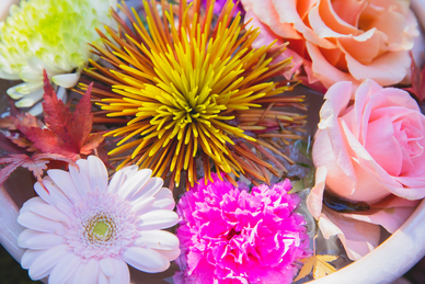 让女人心动肉麻的早安情话文案 有哪些让女人心动的肉麻情话文案？