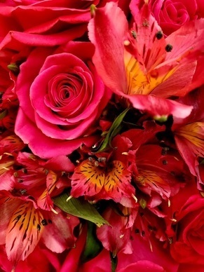 夸女人勤俭持家的句子文案 夸女人能干持家的句子文案