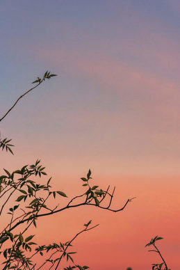 早安情话文案心语2023最新 2023全新的早安心语都有哪些?