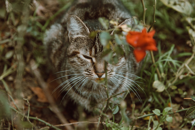 形容女人迷人气质句子文案 描写女人高贵气质句子文案