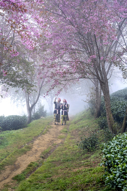 坚定爱情的句子文案八个字 关于爱情的话，八个字