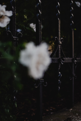 浪漫说说文案短句暖心窝 幸福说说文案短句 暖心语怎么写？