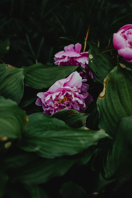 情话文案最暖心短句朋友圈 情话文案最暖心短句