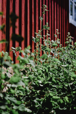 透露自己恢复单身的朋友圈 如何巧妙的在朋友圈透露自己是单身