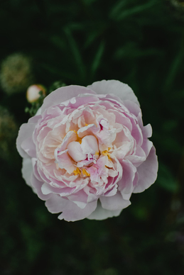 女人不欠婆家的说说文案 婆家人不好的伤感说说文案