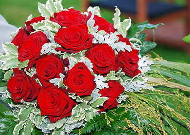 写给女孩子的文艺句子文案 写女孩子好的唯美句子文案