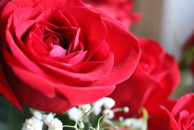 海边爱情甜蜜句子文案 关于海的爱情句子文案