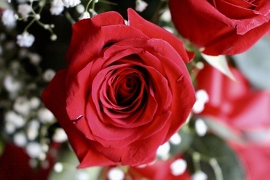 形容男人爱美的朋友圈 男人在朋友圈发个人的艺术照是什么想法？