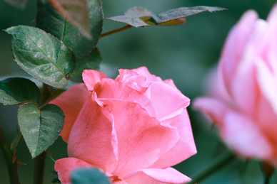 女生撩男生一些暧昧的话 女生如何幽默地撩男生?