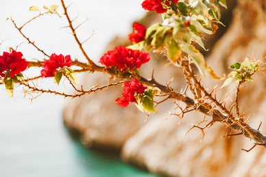 赞美女人漂亮的诗 赞美女人漂亮的句子文案古诗有哪些？