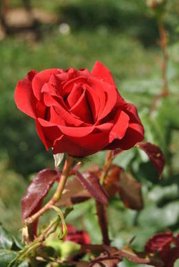 2023最感动爱人的一句话 2023给爱人的祝福语