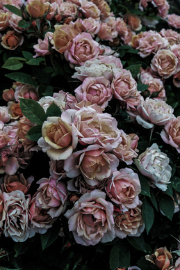 纪念逝去的老公一周年的句子文案 想念我逝去的丈夫一周年的诗词