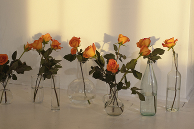 樱花浪漫短句 关于樱花的浪漫语句文案有哪些?