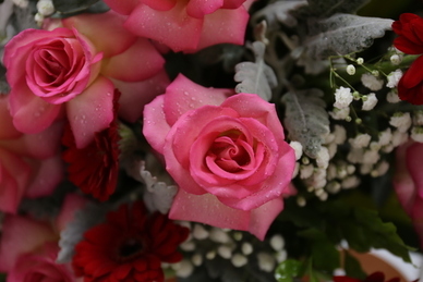 一些温柔的小众文案 有没有特别温柔的文案？