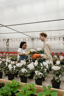 爱情诗句经典 爱情古诗词经典名句文案大全