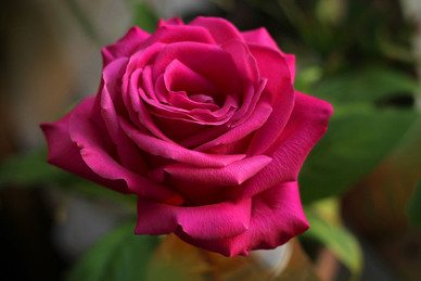 形容情侣买菜做饭的唯美句子文案