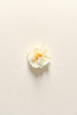 形容下雪浪漫的话 下雪了浪漫的句子文案