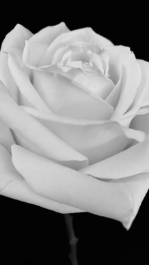 形容准备分手的文艺句子文案 形容准备分手的句子文案