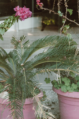 婚纱照祝福语大全 当同学发婚纱照给我们,我们应该怎么回答？