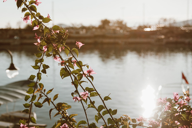 小清新恋爱语句文案