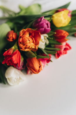 表白文案短句古风 古风爱情的唯美句子