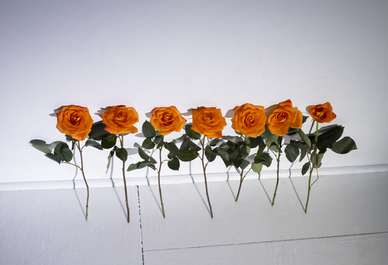 七夕节经典语句 七夕情人节经典句子文案