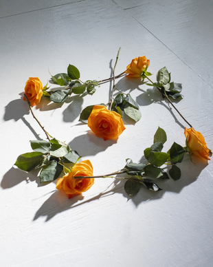 比较暧昧的话 求一些暧昧的话