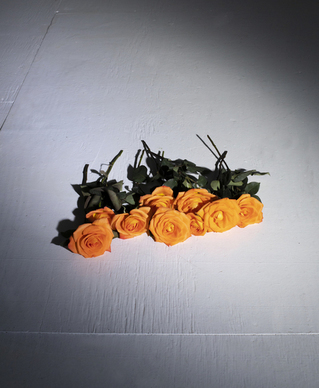 很有深度的爱情金句 有深度有品味爱情的句子文案