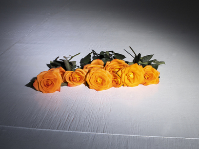 温柔对待生活的句子文案 温柔对待世界的句子文案