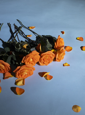 爱上已婚男人说说句子文案 爱上已婚男人的心情说说