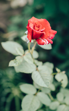 一句话的简单幸福说说文案 简单的小幸福说说文案心情