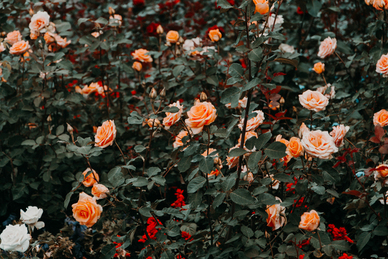 感情很悲伤的英文句子文案 伤感一些的英文句子文案. . .