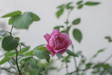 男人压力大的经典语句 安慰男人压力大的句子文案