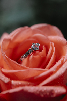 用海表达爱情的诗句文案 有海字 爱情诗句文案