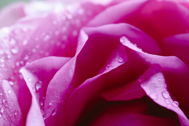 分手了想挽留的句子文案 分手挽留的话