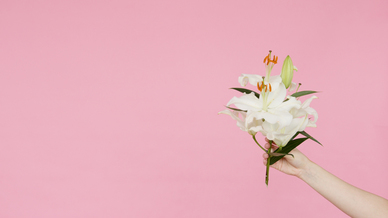 民宿好评暖心句子文案 酒店好评回复暖心句子文案有哪些?