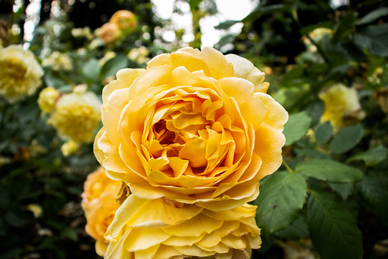 无法挽回的爱情句子文案 形容事已至此无法挽回的句子文案