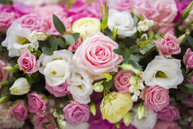 表达春天思念的句子文案 春天思念落寞的句子文案