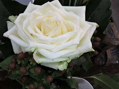 分手后的伤心语录 分手后的伤感的句子文案