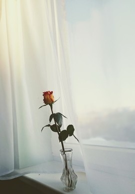 给老婆的生日祝福语简短精辟 老婆生日祝福语简短