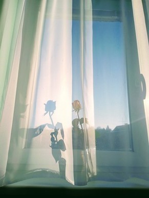 爱情名人名言唯美 唯美爱情句子文案名人名句