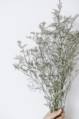 风趣幽默的撩妹句子文案 逗女孩开心的幽默句子文案