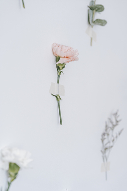 超污晚安情话文案 20句最肉麻的晚安情话文案