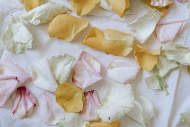 超级温柔的文案对话 有哪些超级温柔的文案？