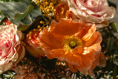 爱情寄语唯美简短10字 唯美简短的幸福爱情寄语有哪些?