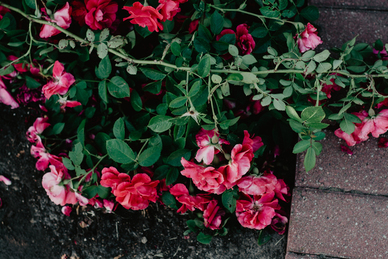 一句话让女生瞬间开心 如何用一句话让女生瞬间开心?