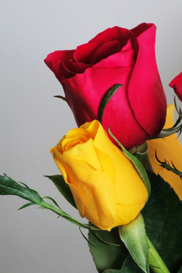 祝福朋友新婚的句子文案短 祝福朋友结婚的话语简短