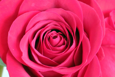 朋友圈晒老婆照片的句子文案