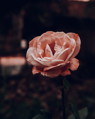 让人觉得温柔的话 怎么聊天让人觉得温柔