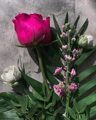 表示很爱女朋友的句子文案 关于爱女朋友的语录语句